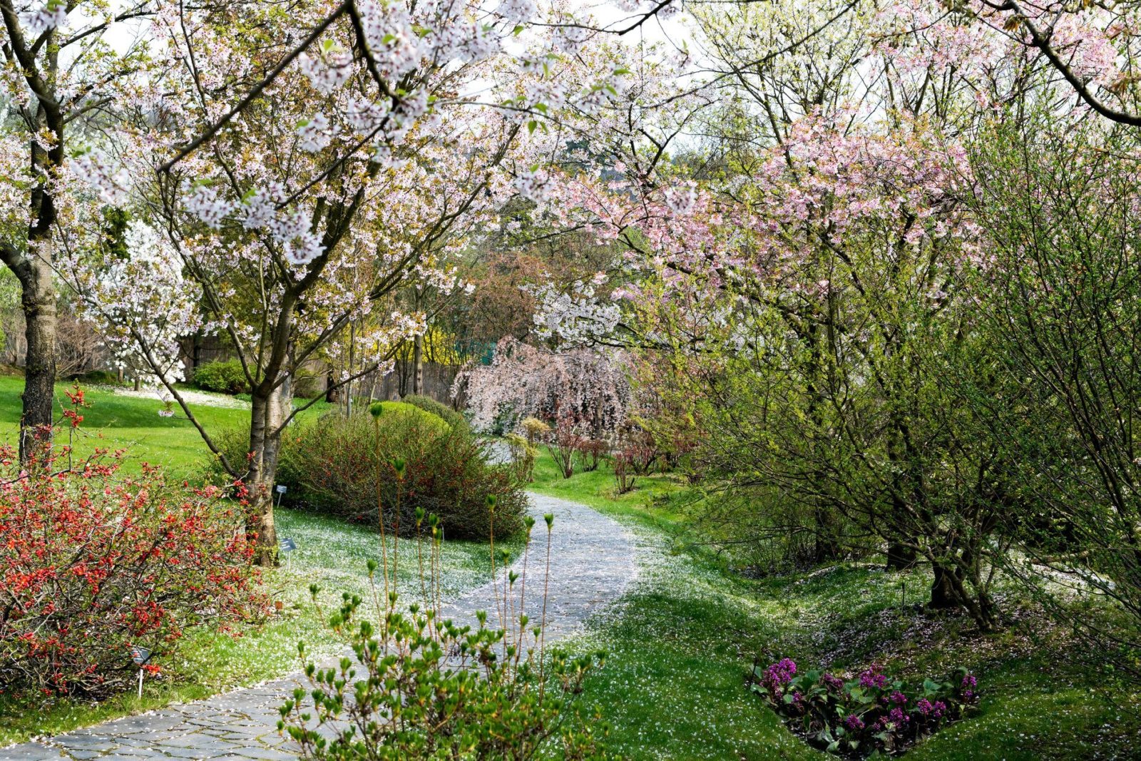 The Botanical Garden in Prague Reopens. Visitors Must Wear Face Masks ...