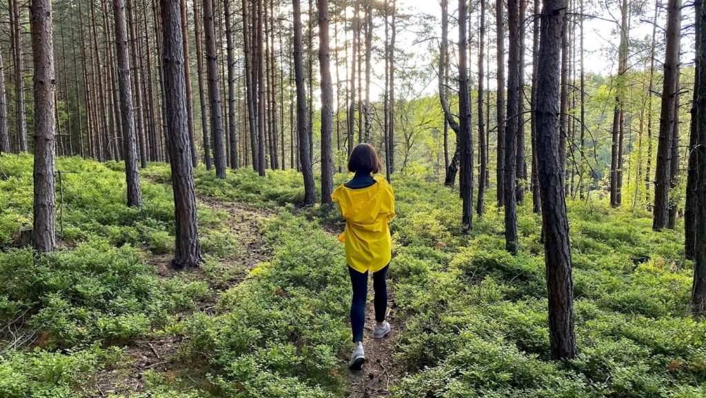 Therapy in the Forest czechia