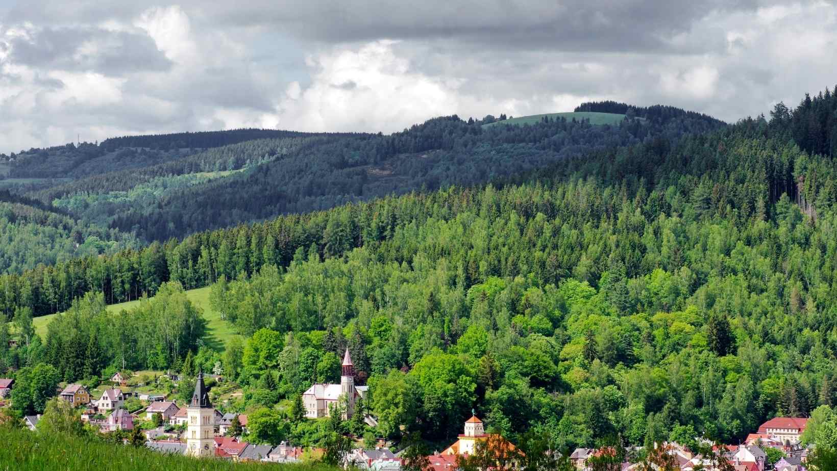 New Largest Protected Area to be Established in Czechia