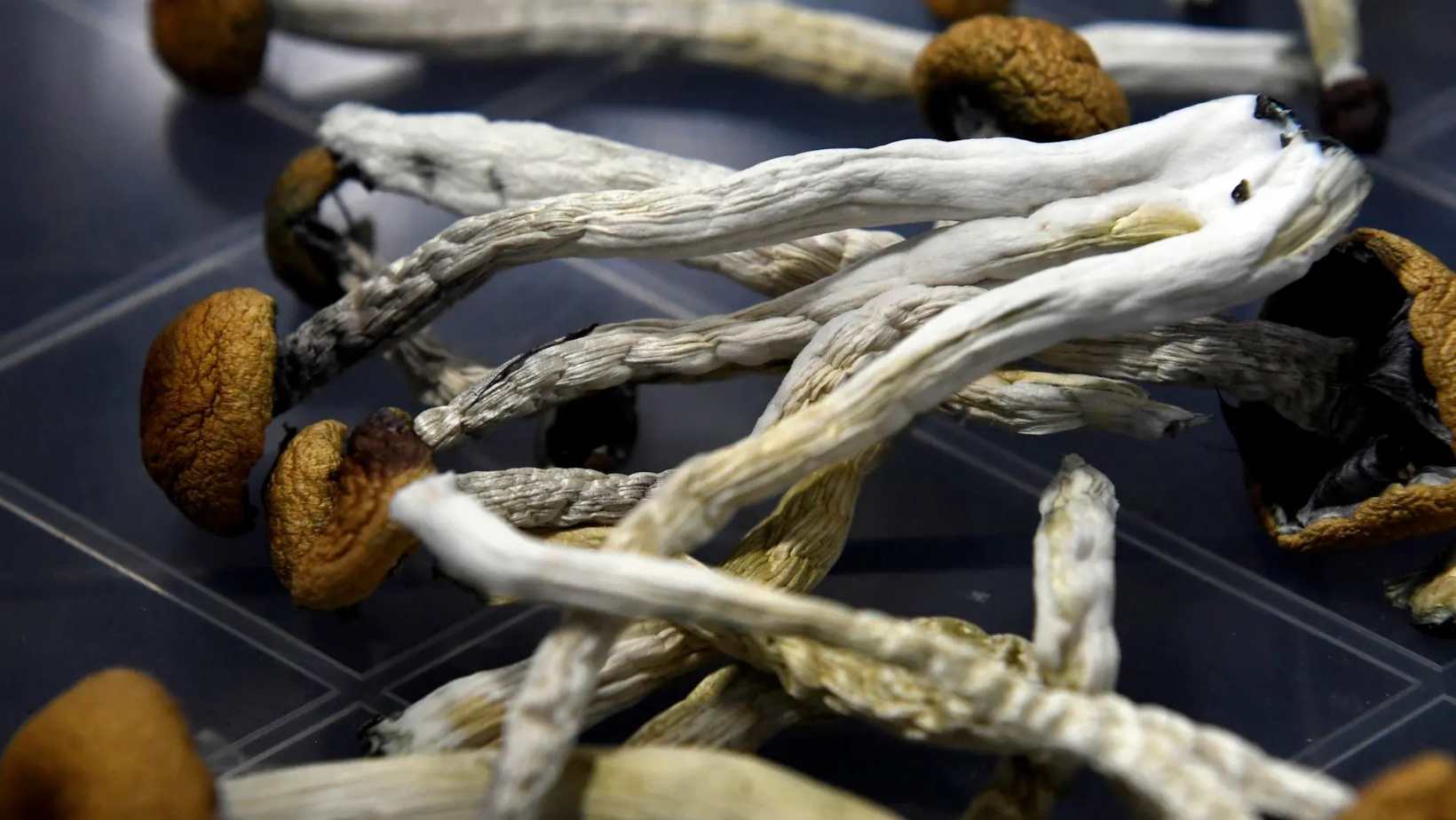 Czechia Approves Regulations For Medical Use Of Psilocybin
