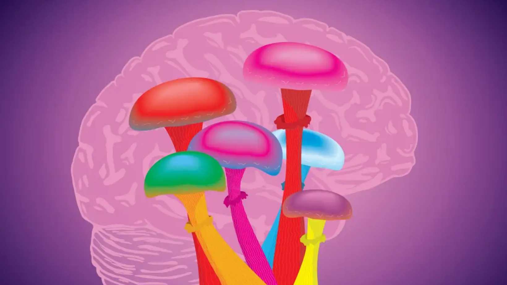Czech Scientists Test Psychedelic Treatment for MS-Related Depression