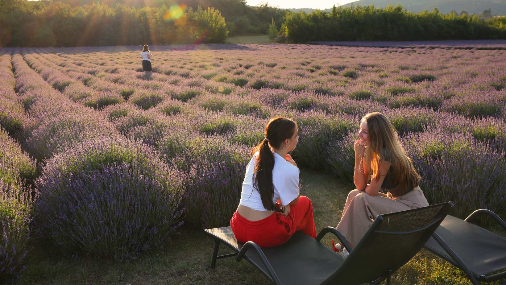Escape the Prague Hustle: Discover the Longevity Secret in this Lavender Valley
