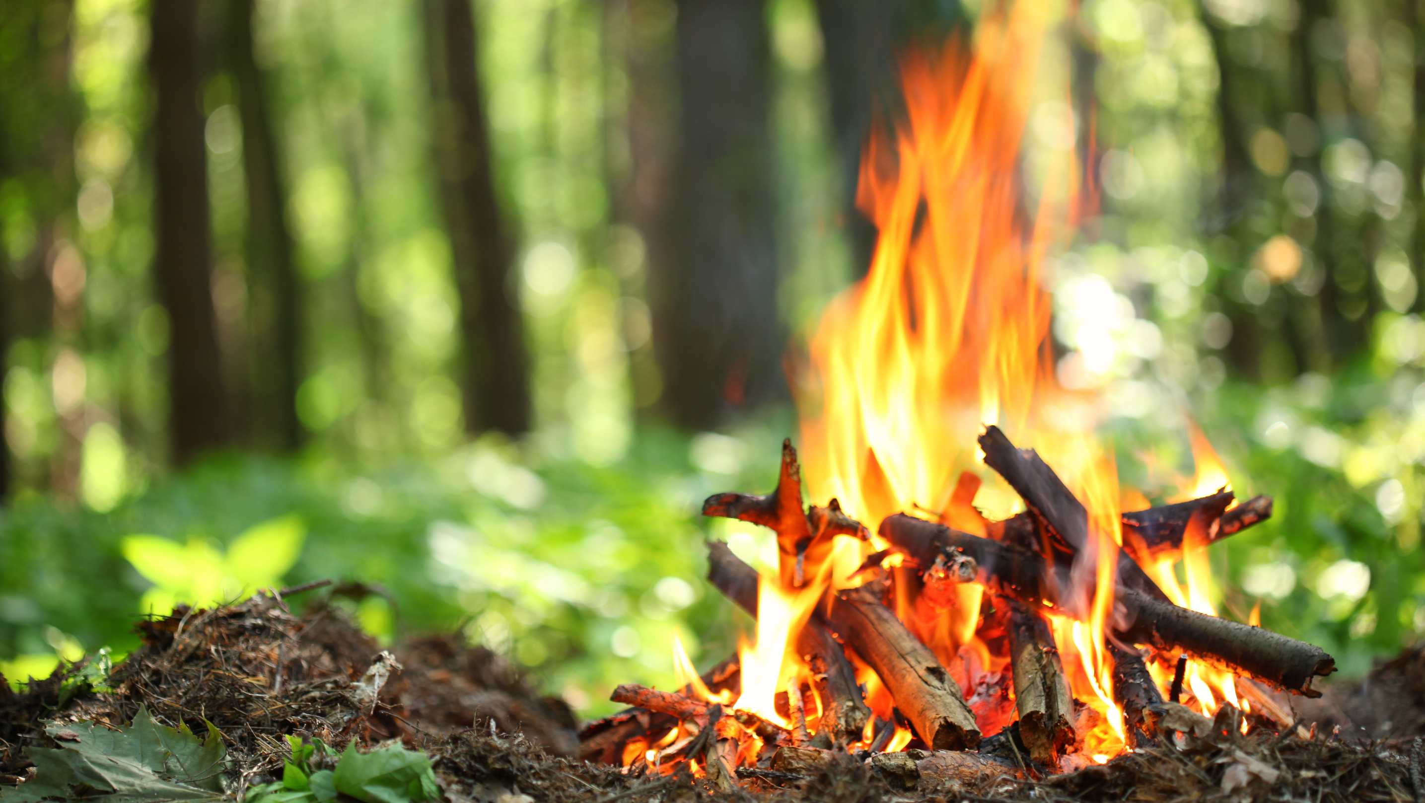 Prague City Restricts Bonfires Amid Heatwave Warning
