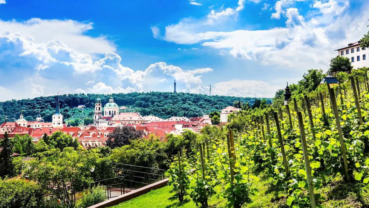 May 30-31: Prague Is Opening Its Hidden Vineyards to the Public