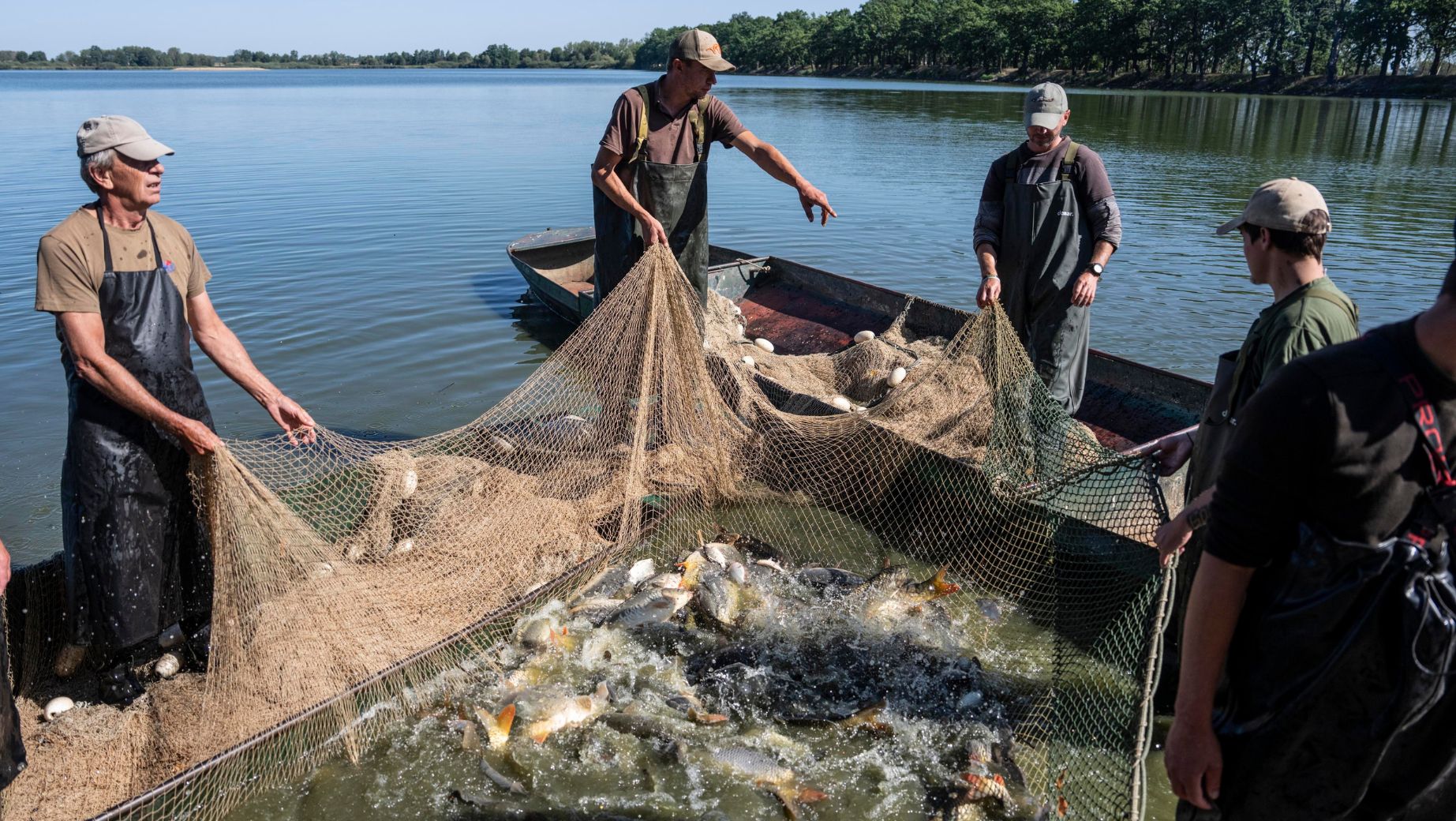 Czech Fish Farmers Take Emergency Measures Amid Prolonged Drought