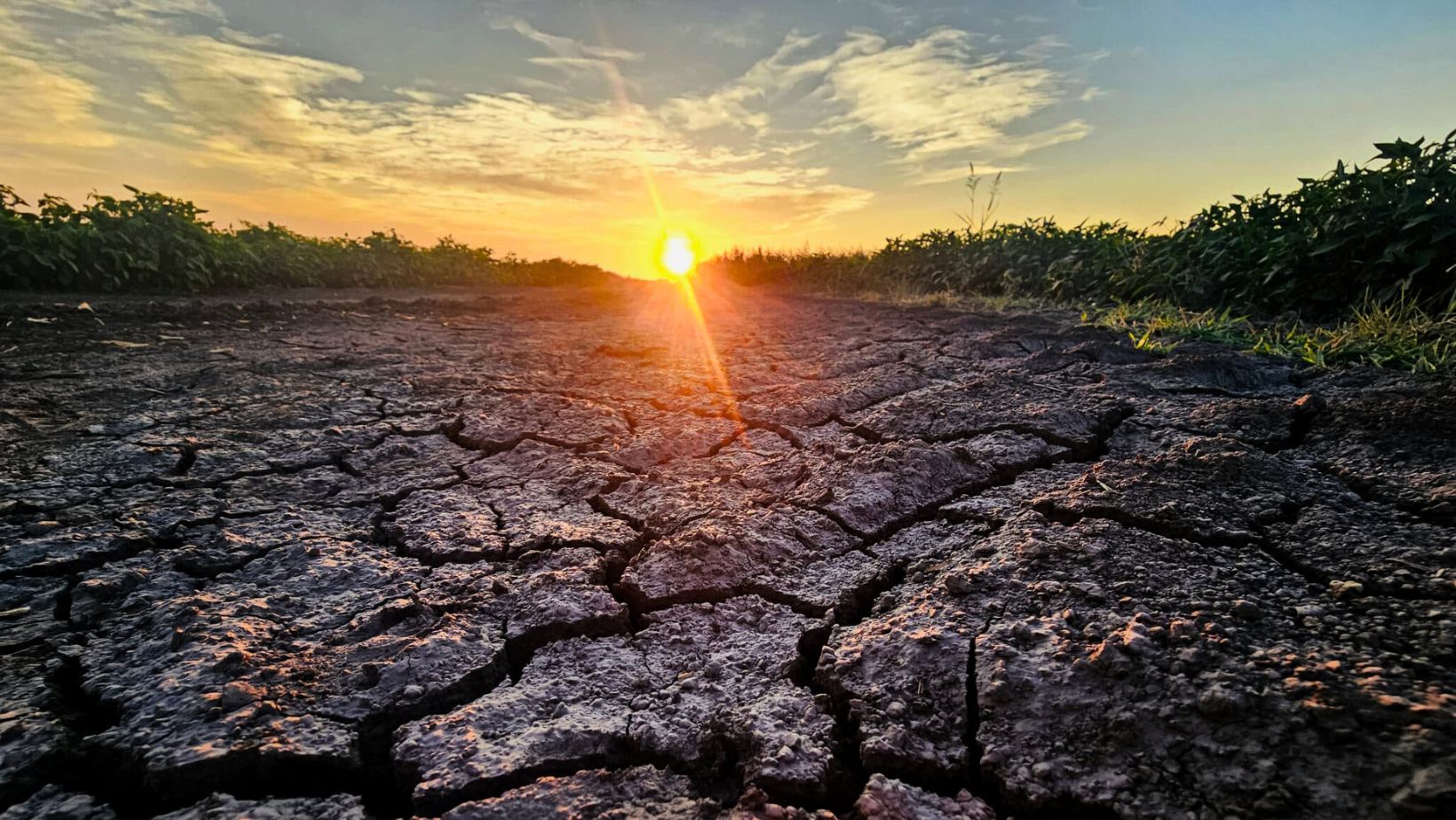 Prague to Host Central Europe’s First Climate Week