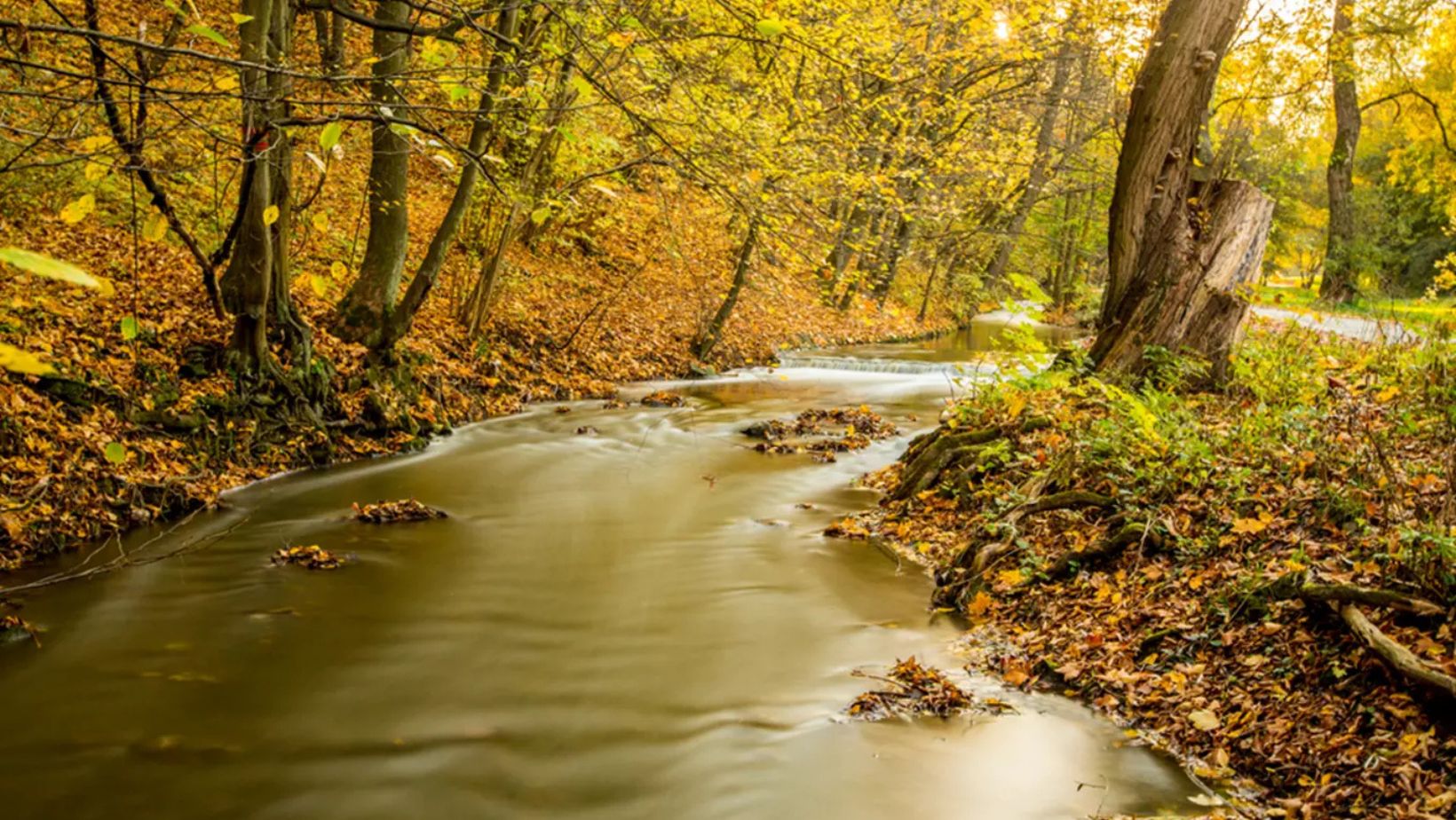 Where to See Prague’s Best Autumn Colors Without Leaving the City